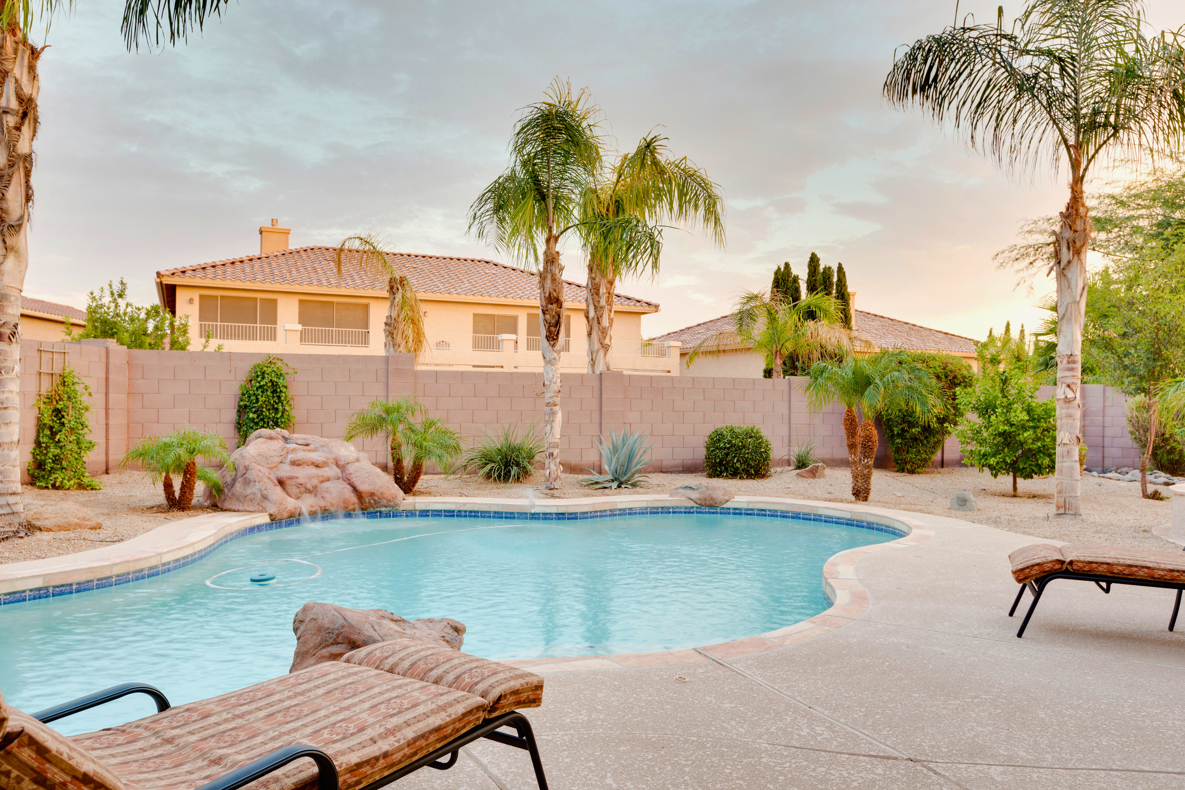 A Las Vegas backyard with a pool and palm trees for sale by Susie homemaker LV